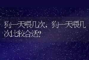 狗一天喂几次
