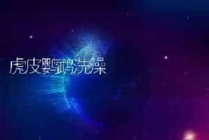 虎皮鹦鹉洗澡