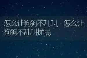怎么让狗狗不乱叫