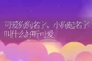 可爱狗狗名字