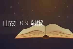 山农189辣椒