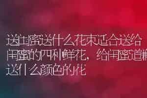 送闺蜜送什么花束适合送给闺蜜的四种鲜花