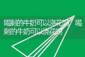 喝剩的牛奶可以浇花吗