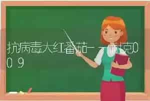 抗病毒大红番茄--耐克009