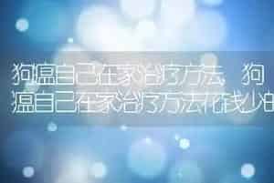 狗瘟自己在家治疗方法
