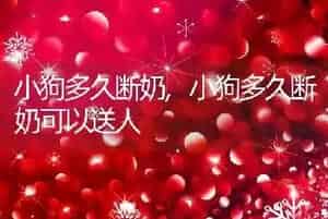 小狗多久断奶