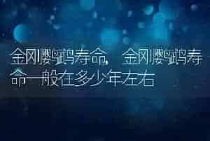 金刚鹦鹉寿命