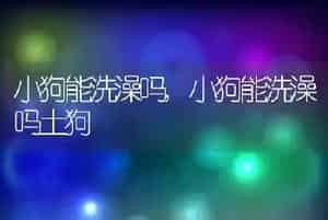 小狗能洗澡吗