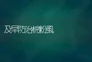 及早防治棉粉虱