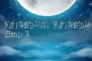狗打架的声音