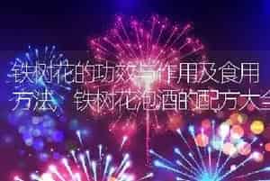 铁树花的功效与作用及食用方法
