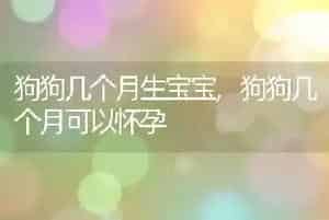 狗狗几个月生宝宝