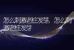 狗狗尿频一会一尿