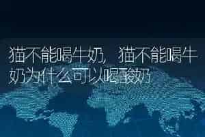 猫不能喝牛奶