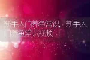 新手入门养鱼常识
