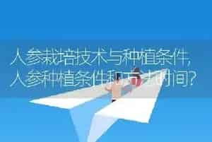 狗可以吃什么水果