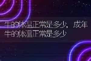 牛的体温正常是多少