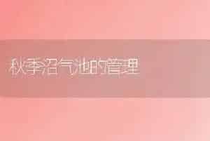秋季沼气池的管理