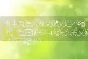 煮牛肉怎么煮又嫩又烂不缩水