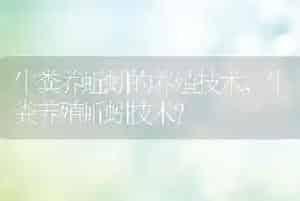 牛粪养蚯蚓的养殖技术