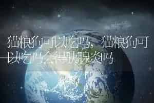 猫粮狗可以吃吗