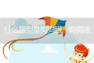 什么眼型是狗狗眼