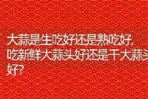 狗狗发烧了怎么办