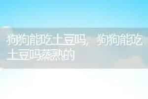 狗狗能吃土豆吗
