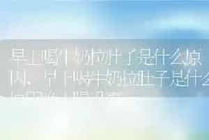 早上喝牛奶拉肚子是什么原因