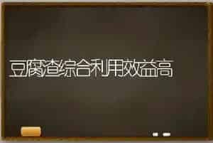 豆腐渣综合利用效益高