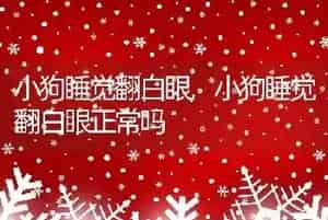 小狗睡觉翻白眼