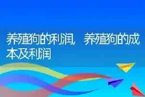 养殖狗的利润