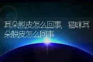 耳朵脱皮怎么回事