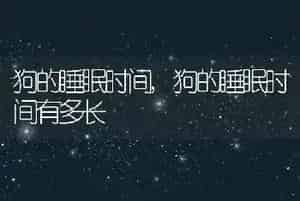 狗的睡眠时间