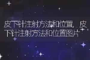 皮下针注射方法和位置