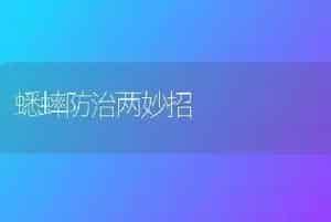蟋蟀防治两妙招