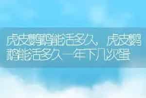 虎皮鹦鹉能活多久