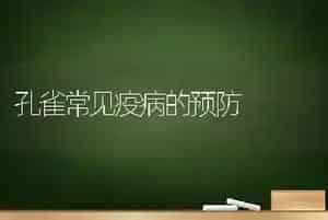孔雀常见疫病的预防