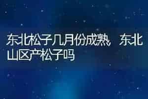 东北松子几月份成熟