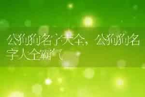 公狗狗名字大全