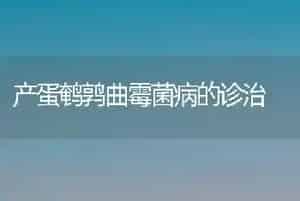 产蛋鹌鹑曲霉菌病的诊治