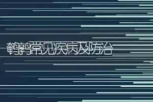 鹌鹑常见疾病及防治