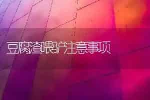 豆腐渣喂驴注意事项