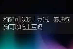 狗狗可以吃土豆吗