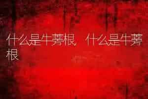 什么是牛蒡根