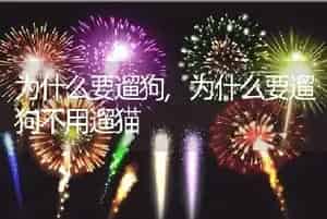 为什么要遛狗