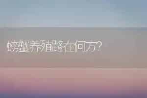 螃蟹养殖路在何方?
