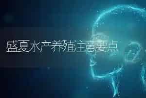 盛夏水产养殖注意要点