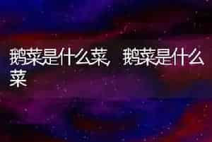 鹅菜是什么菜