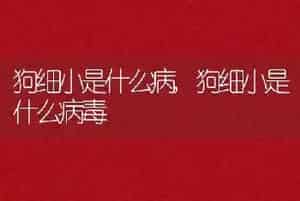 狗细小是什么病